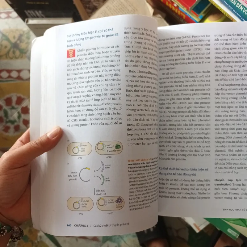 Sinh Học Phân Tử Của Tế Bào- Lodish- Berk..  977706