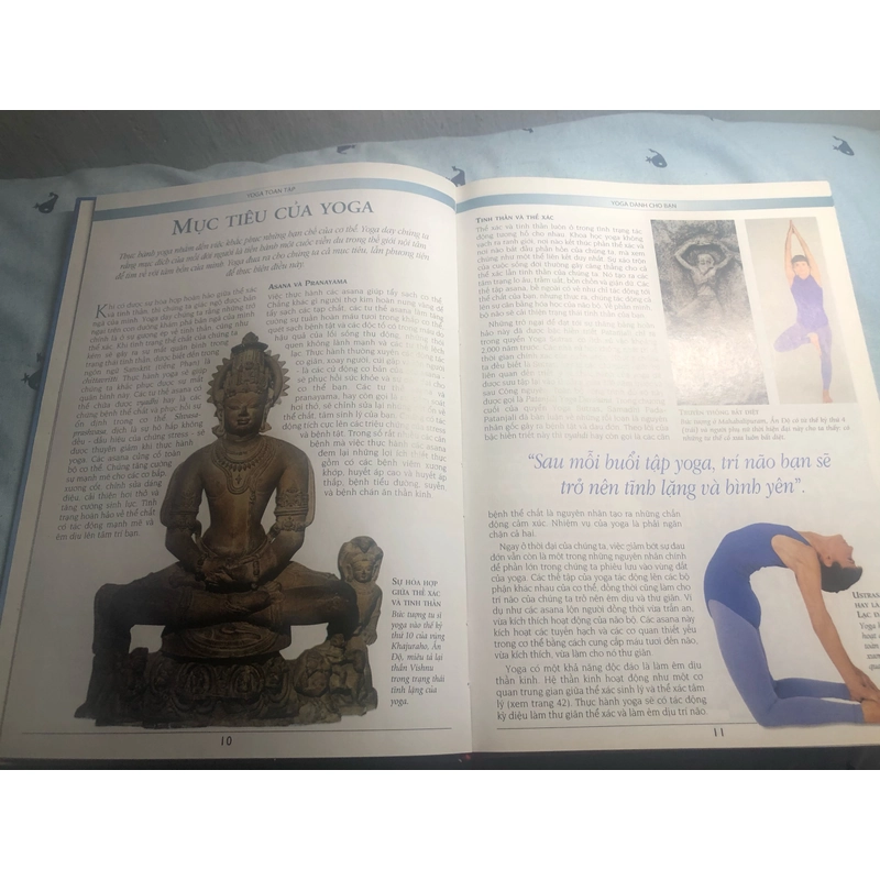 Kỹ thuật và Thực hành Yoga toàn tập - B.K.S. IYENGAR (bìa cứng) 327060