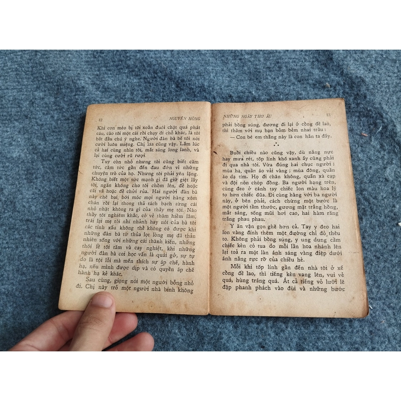 NHỮNG NGÀY THƠ ẤU - NGUYÊN HỒNG 478551