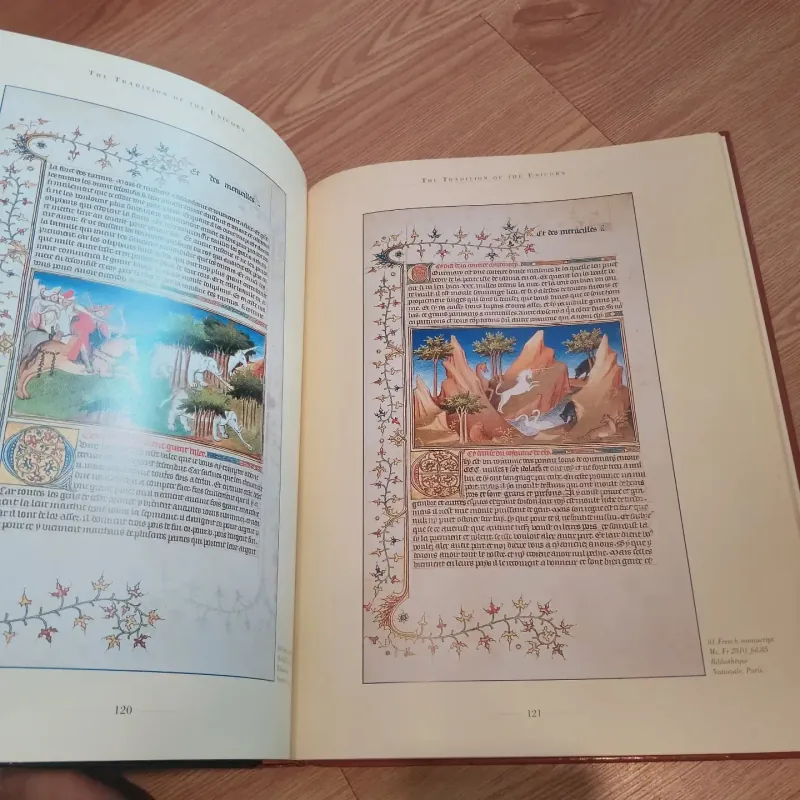 The Lady and the Unicorn - Sutherland Lyall 694759