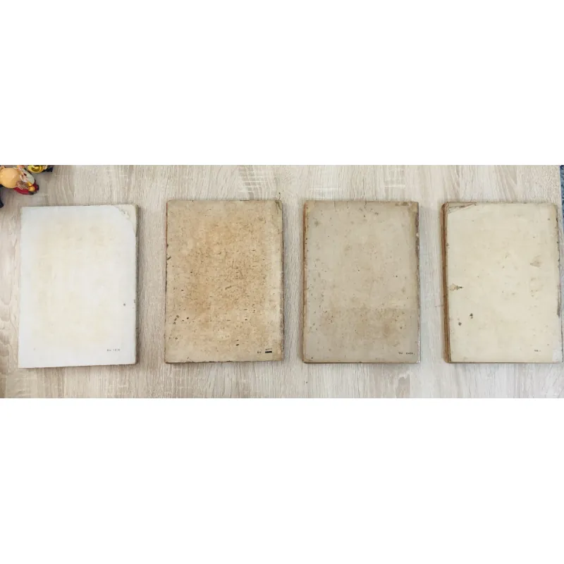 CÂY GỖ RỪNG VIỆT NAM ( tập 2,4,5,6) 956969