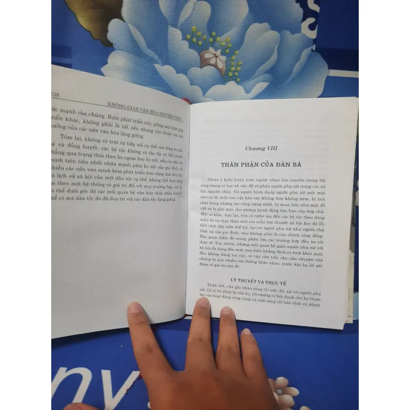 Không gian văn hóa nguyên thủy - Robert Lowie (Bìa cứng) 701961