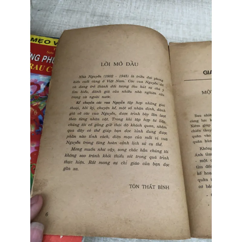 Kể chuyện các Vua Nguyễn 1009798