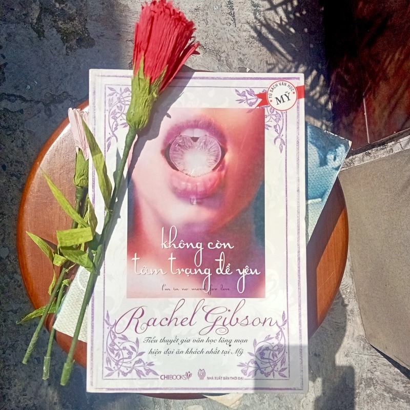 Không còn tâm trạng để yêu - Rachel Gibson 495075