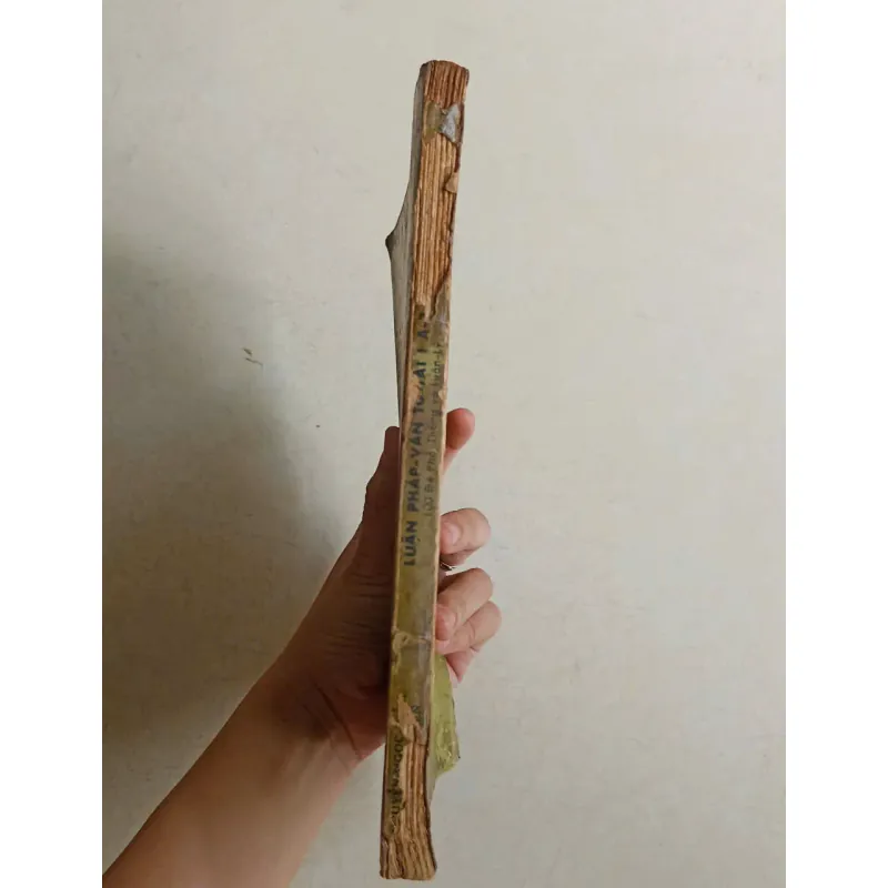 Luận pháp văn 🌻 588502