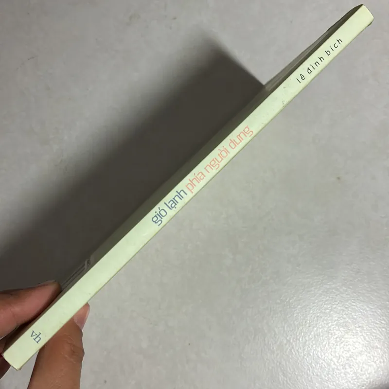 Gió lạnh phía người dưng - Lê Đình Bích 777685