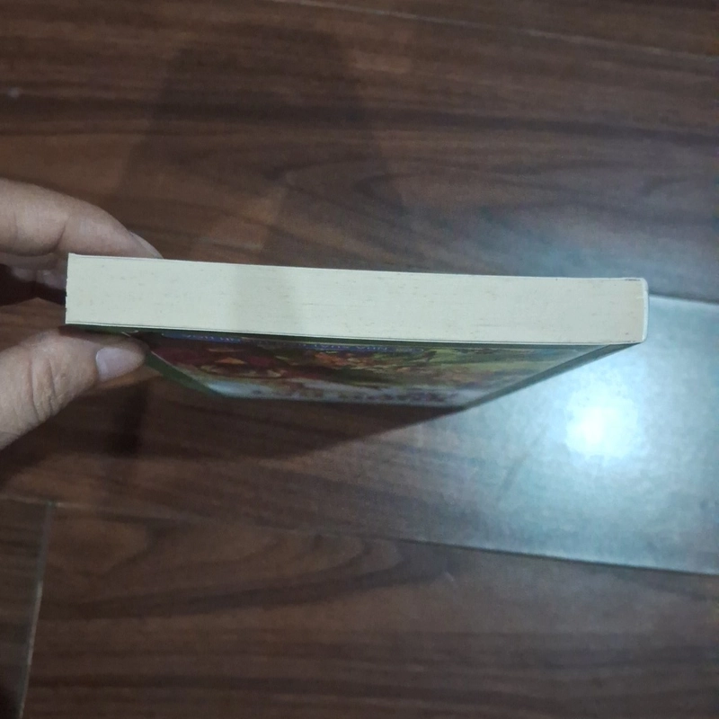 Vùng đất thất lạc 524088