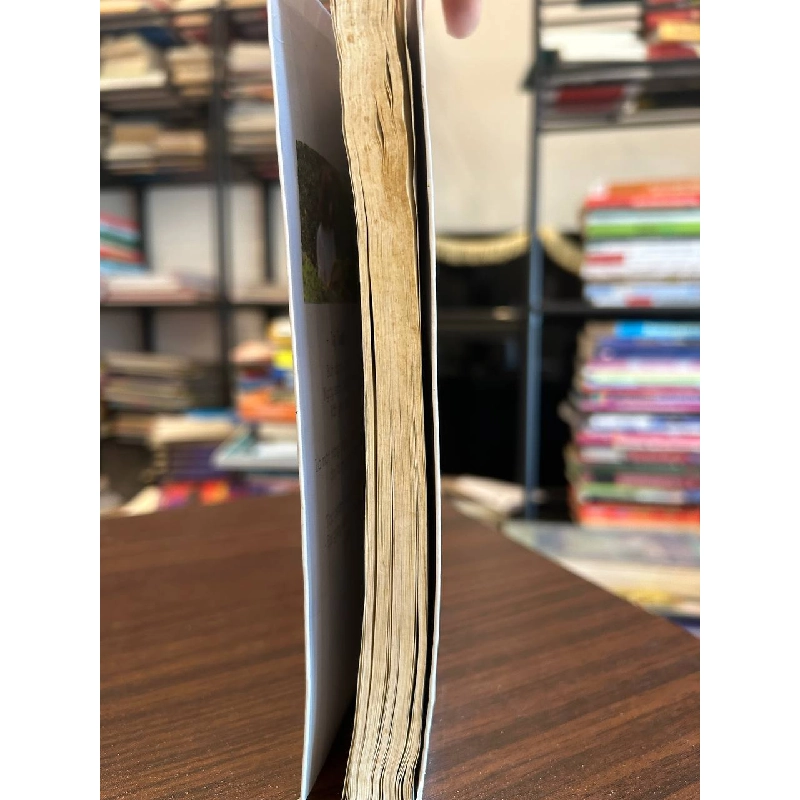 Không xác định - Không xác định 958545