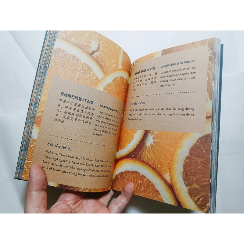 999 Lá Thư Gửi Cho Chính Mình  - Phiên Bản Song Ngữ Trung-Việt 

 505007