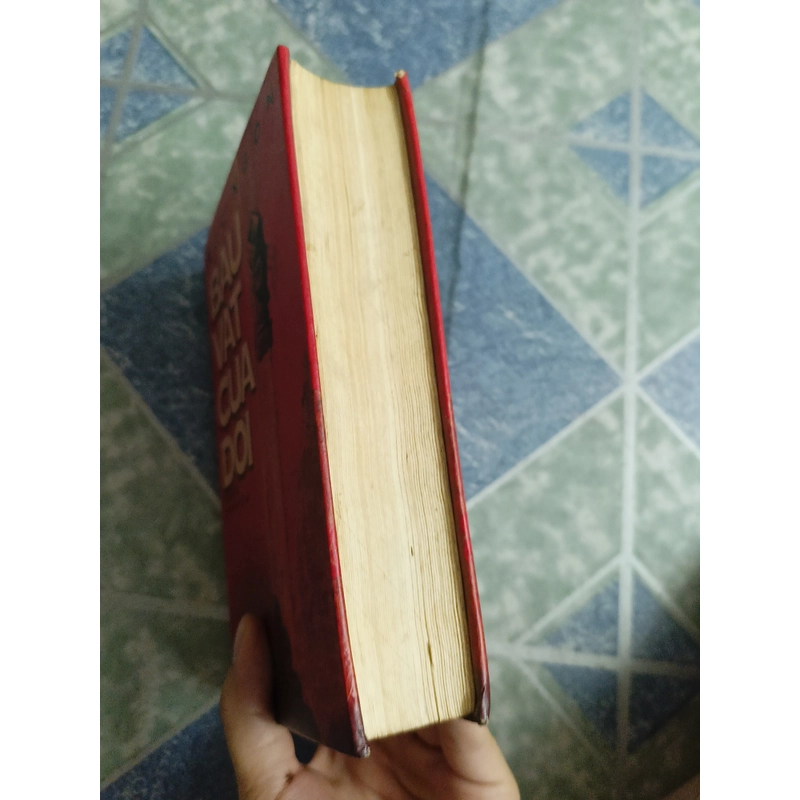 Báu vật của đời - Mạc Ngôn 533360