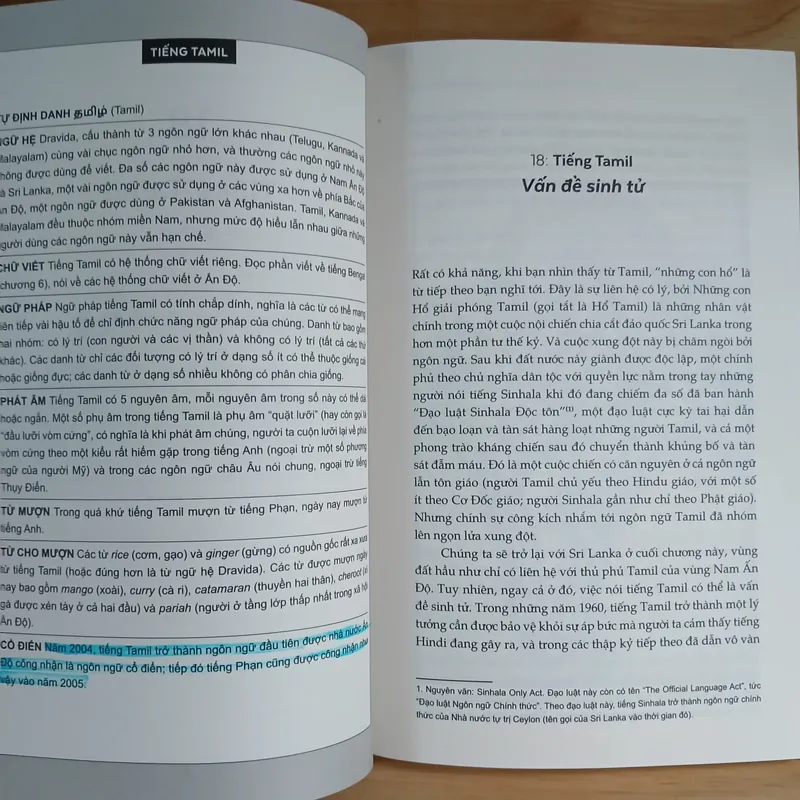 BABEL: Vòng Quanh Thế Giới Qua 20 Ngôn Ngữ - Gaston Dorren 675172