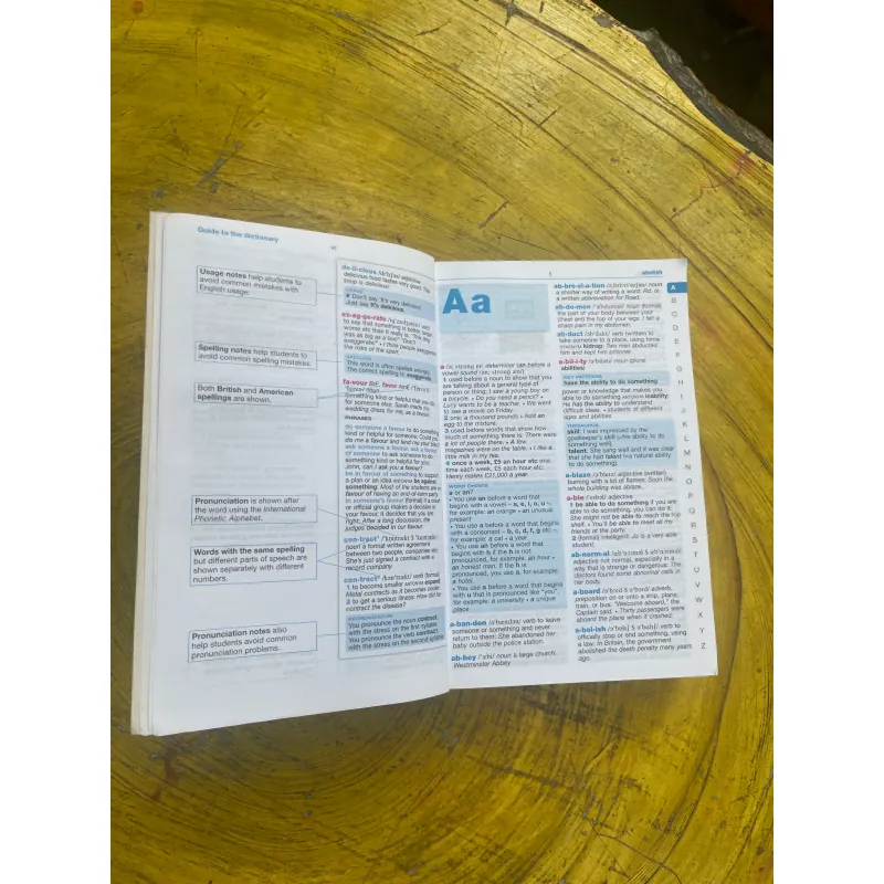 LONGMAN WORD WISE DICTIONARY 731919