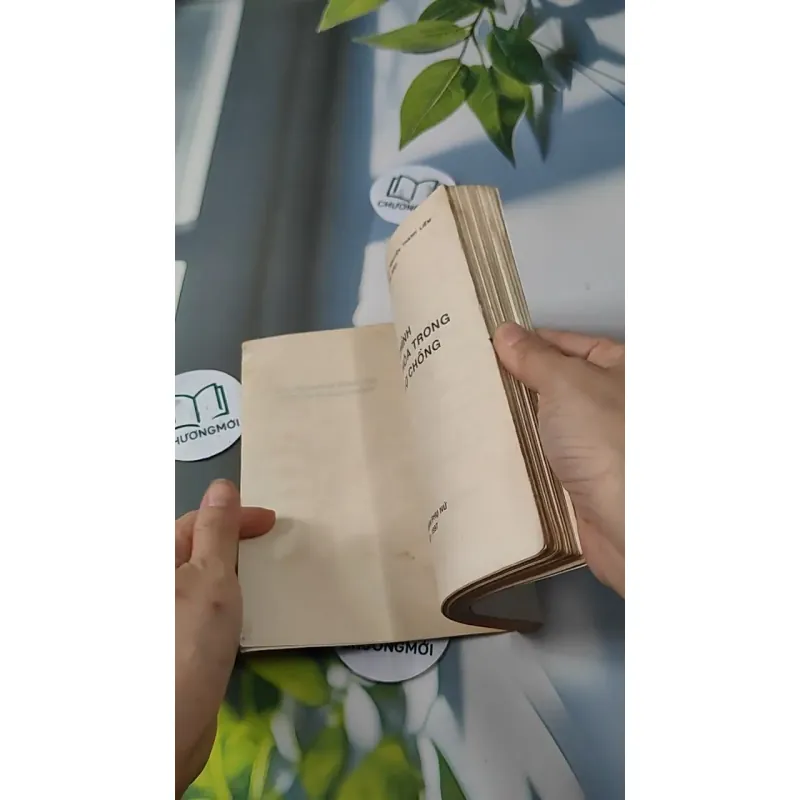 Điều Chỉnh Những Bất Hòa Trong Quan Hệ Vợ Chồng - GS. Đặng Phương Kiệt 727256