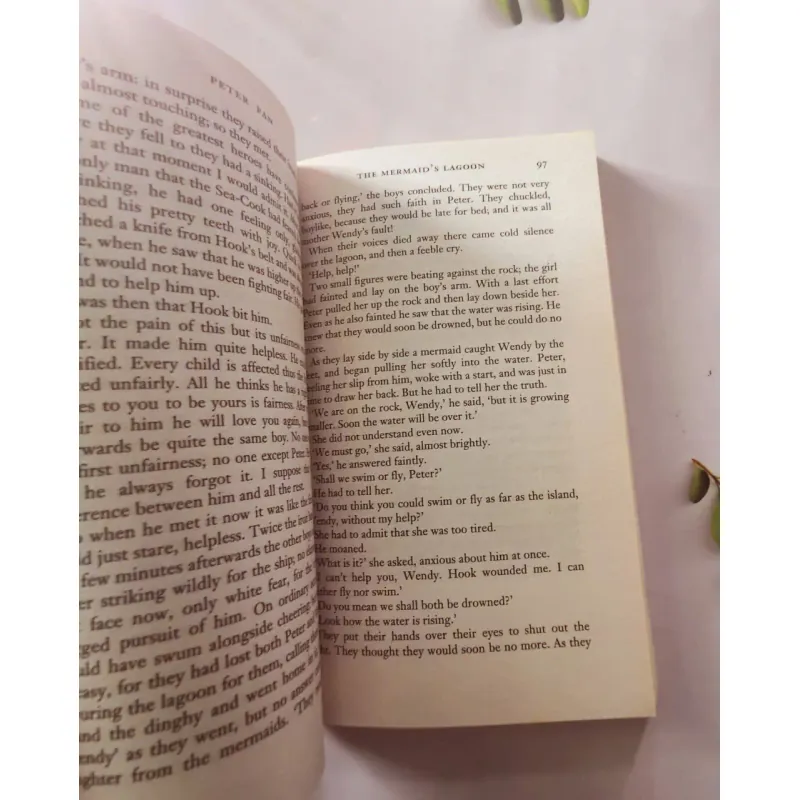 Peter Pan & Peter Pan in Kensington Gardens 1002048