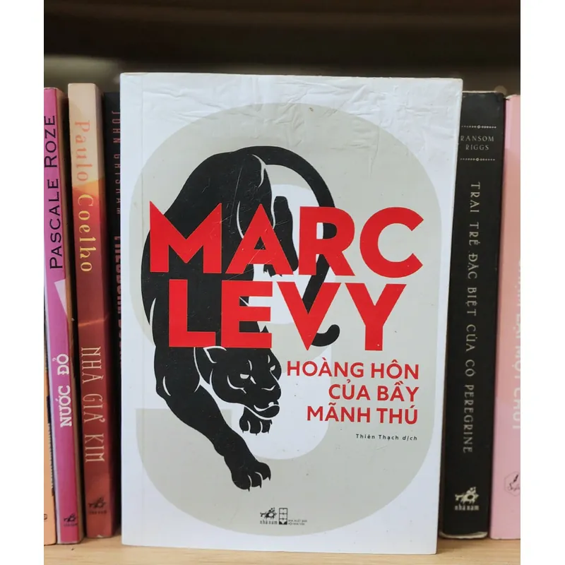 Tiểu thuyết Pháp của Marc Levy: HOÀNG HÔN CỦA BẦY MÃNH THÚ 705485