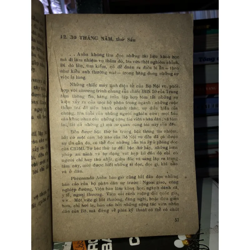 Bóng chim câu trên sóng biển Maiami - Danien Chavaria 789050