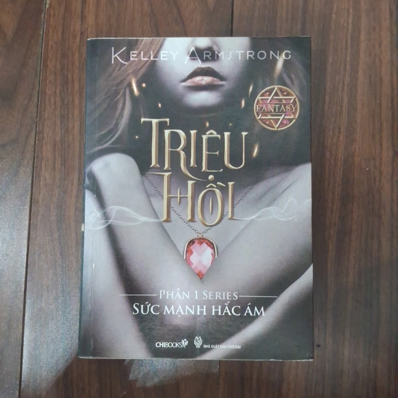 Triệu hồi - kelley amstrong 505607