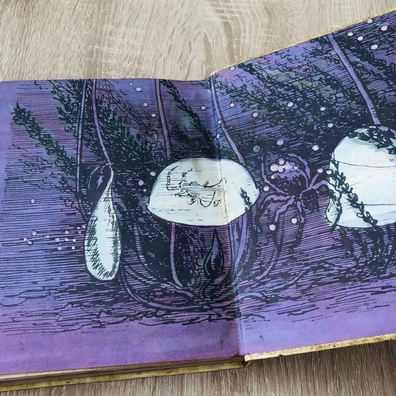 VLA - ĐI - MIA BRA - GHIN Ở XỨ CỎ RẬN 975807