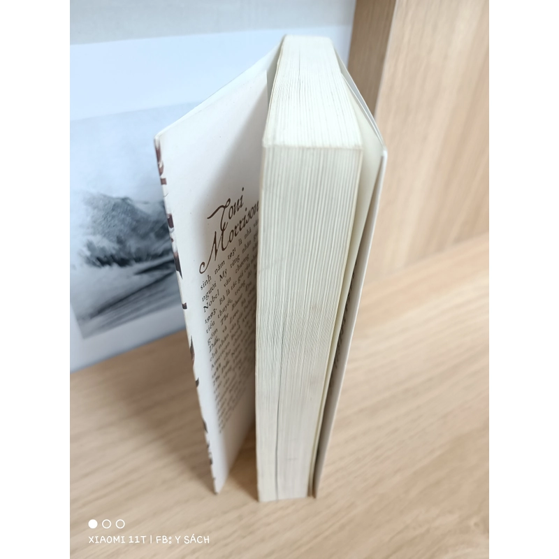 Yêu dấu (Toni Morrison) 463137