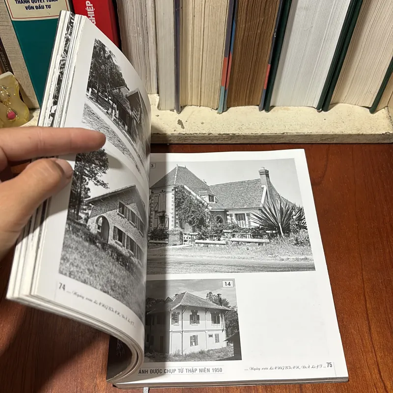 II Tranh Đà Lạt: Ngày Xưa Langbian… _ Đà Lạt - Tâm Thái - 2009 719533