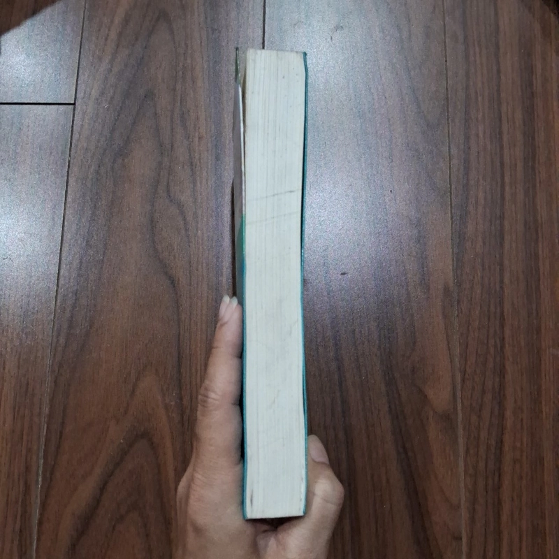 Tử tước và em 504512