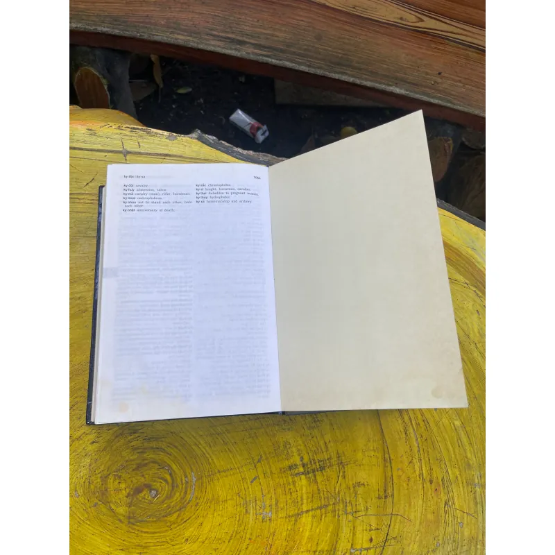 TỪ ĐIỂN ANH-VIỆT VIỆT ANH - BÙI PHỤNG- ENGLISH-VIETNAMESE-VIETNAMESE-ENGLISH DICTIONARY 729174