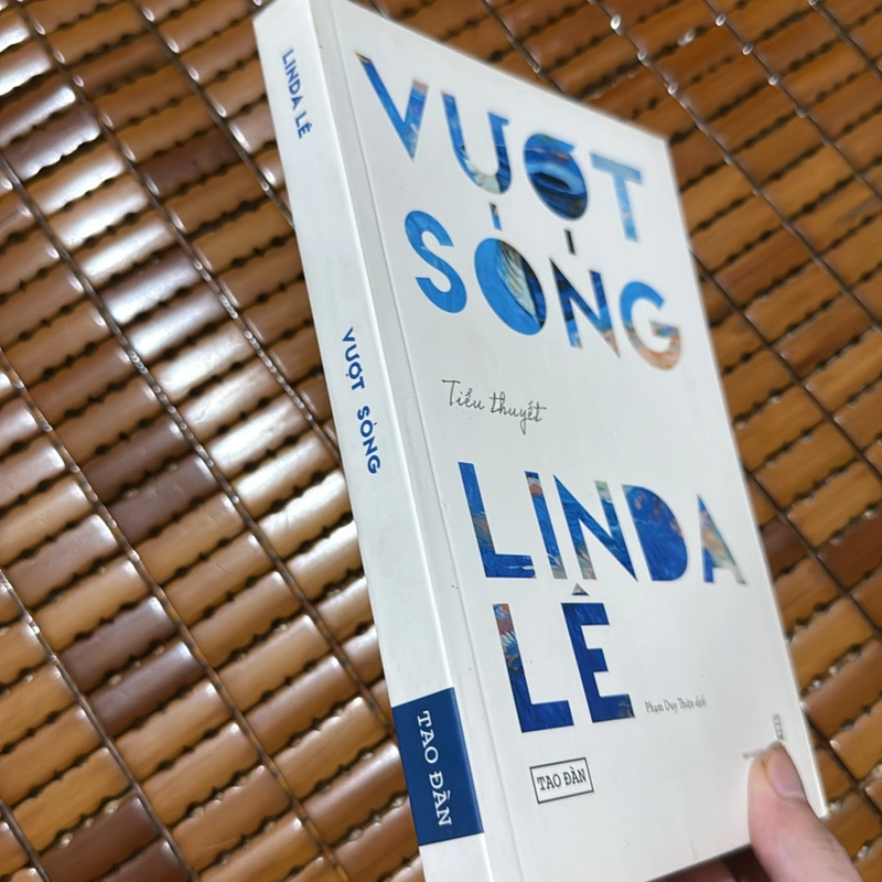 Vượt sóng - Linda Lê 501574