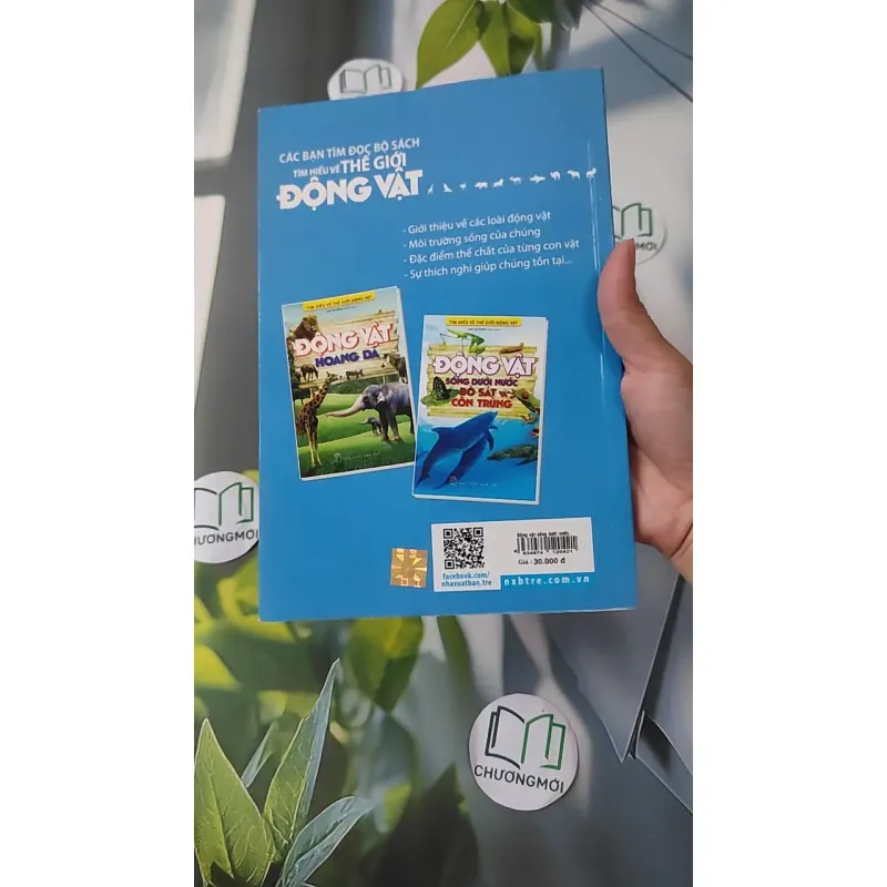 Động vật: Sống dưới nước, bò sát và côn trùng - An Khánh 1018832