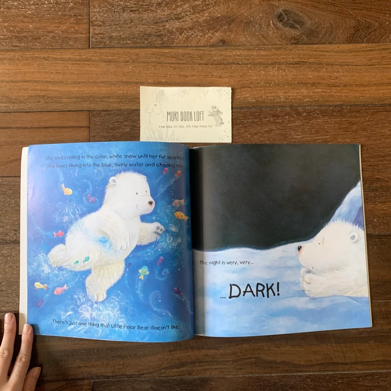 Sách ngoại văn Bear's Magic Moon, Used 423002