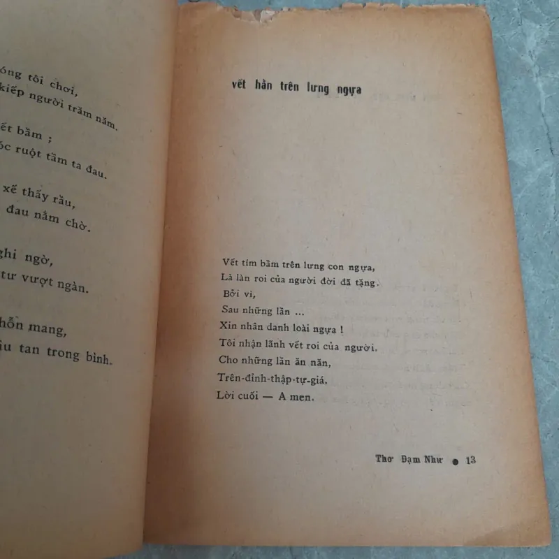 THƠ ĐẠM NHƯ 755721