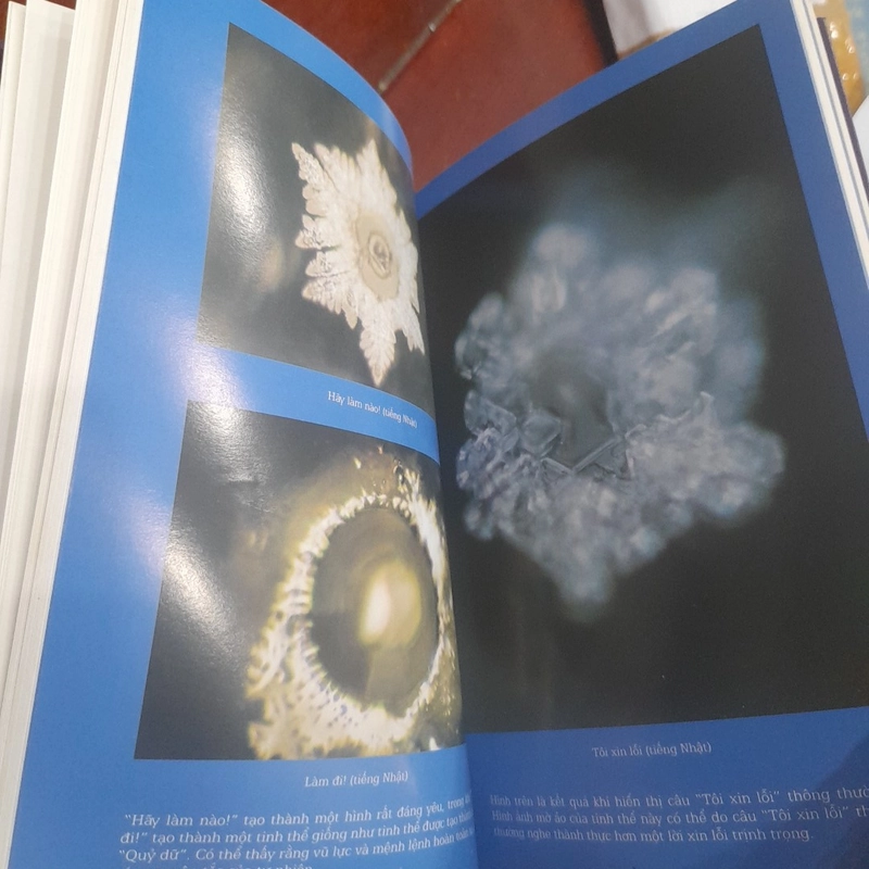 masaru emoto - THÔNG ĐIỆP CỦA NƯỚC 491677