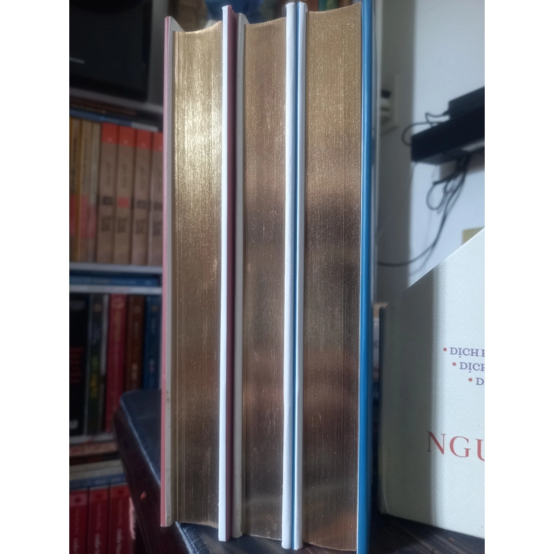 KINH DỊCH LUẬN GIẢI ( sách mạ vàng )  495086
