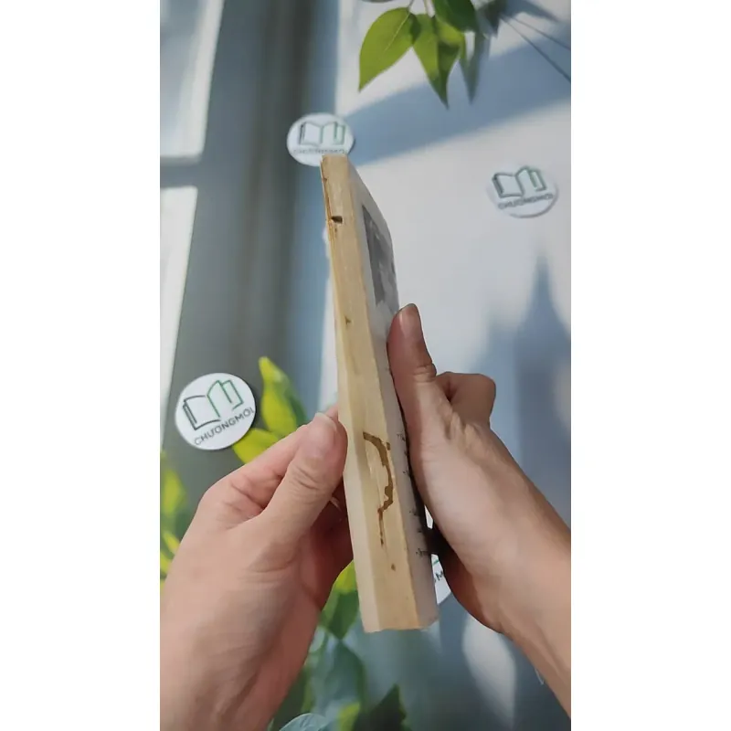 [MIỄN PHÍ BỌC SÁCH] [XƯA] Mê Lộ (1989) - Phạm Thị Hoài 997663