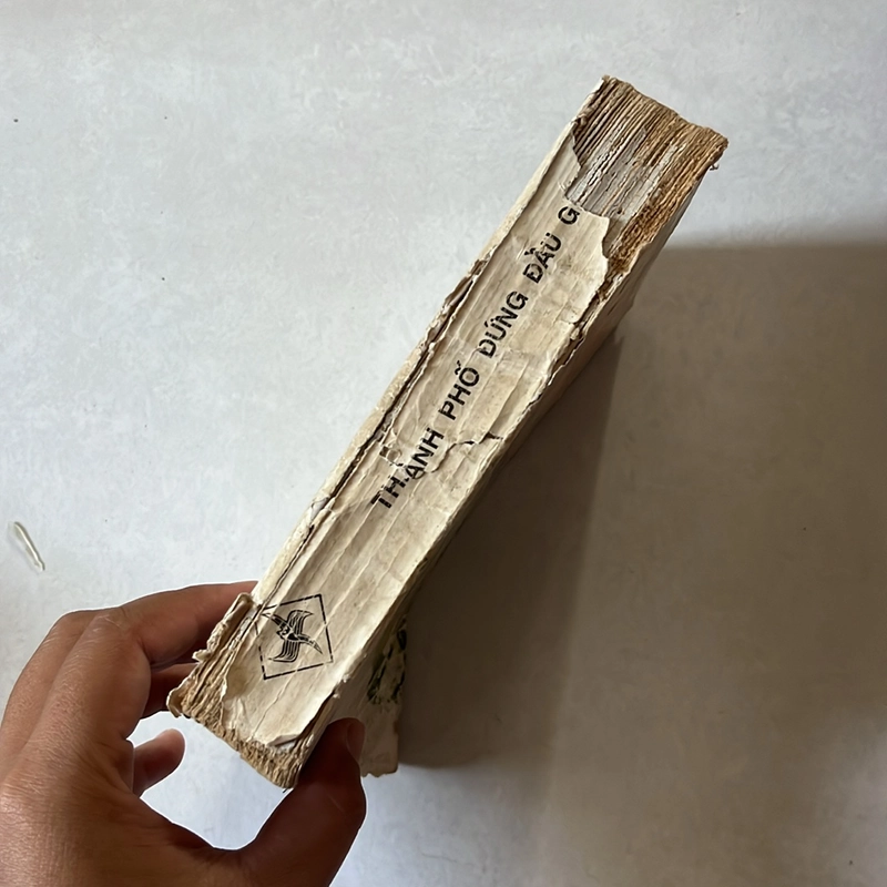 Thành phố đứng đầu ngọn gió - Nguyễn Khắc Phục 501812
