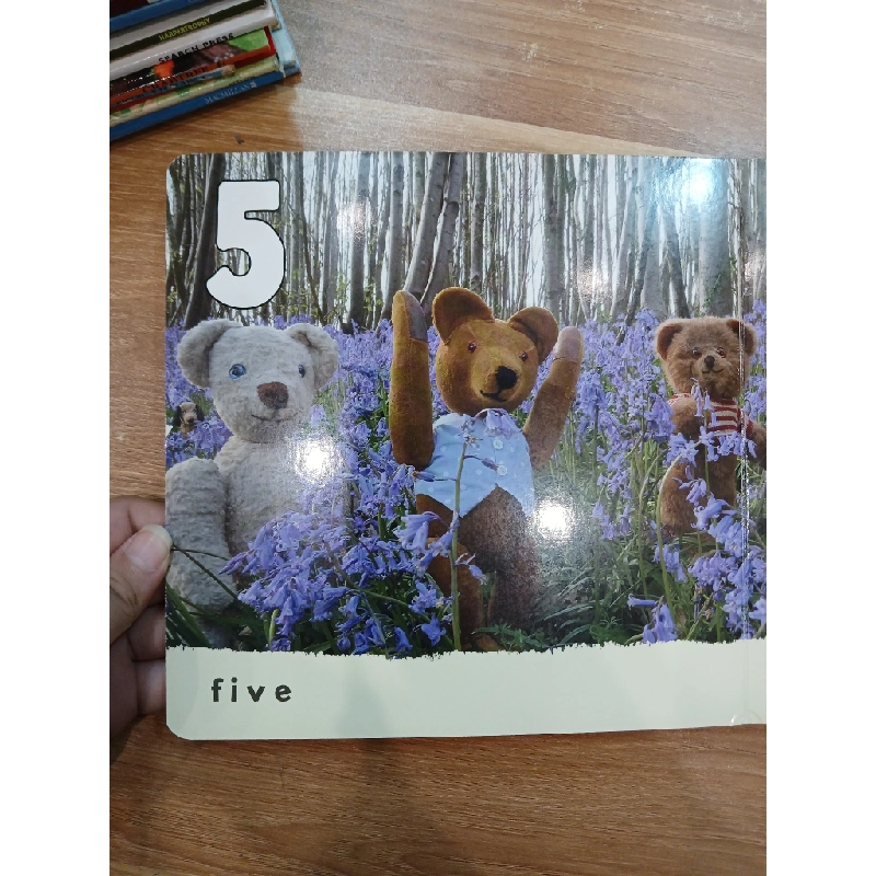 Bluebell Bears - David Ellwand 543913