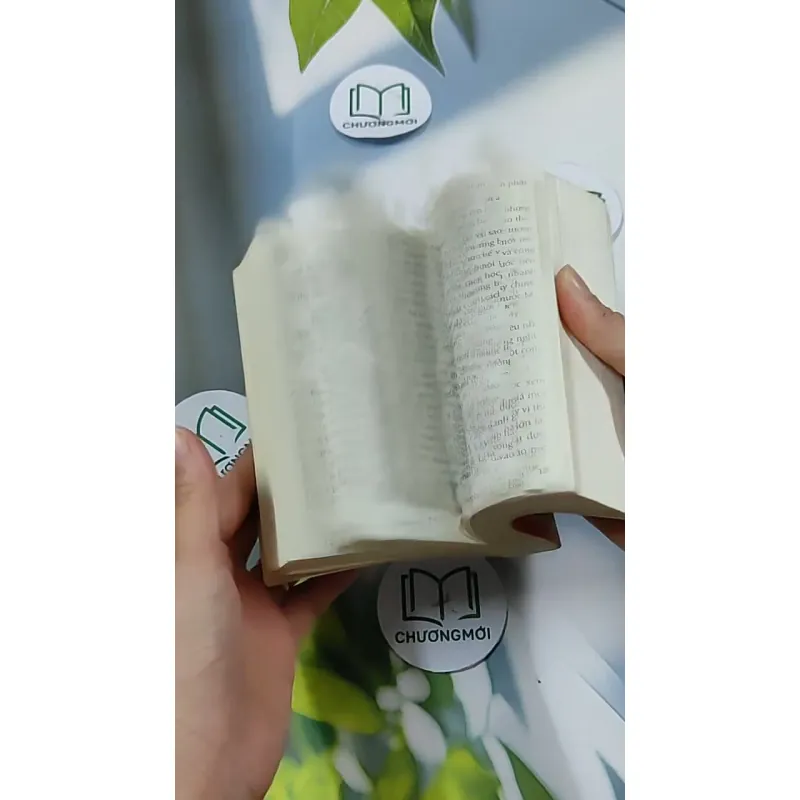 Dám Nghĩ Lớn! 703144