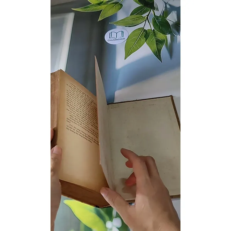 Người Thay Thế Chưa Tới (1986) - Nikolai Kambulev 607724