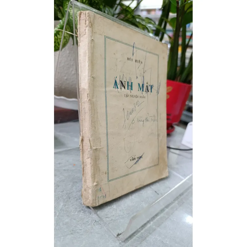ÁNH MẮT - BÙI HIỂN 731752