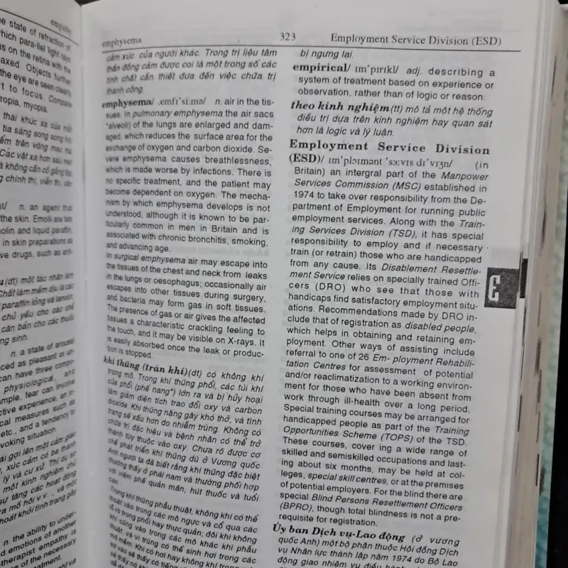 Từ điển Y học Anh Viêt 1002832