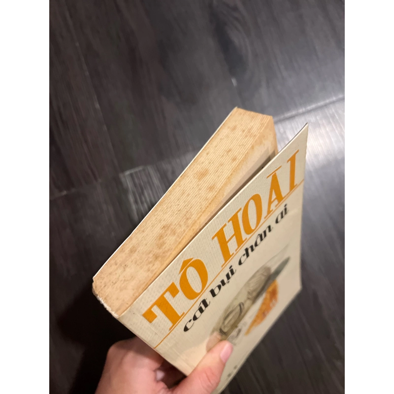 Cát bụi chân ai - Tô Hoài 298569