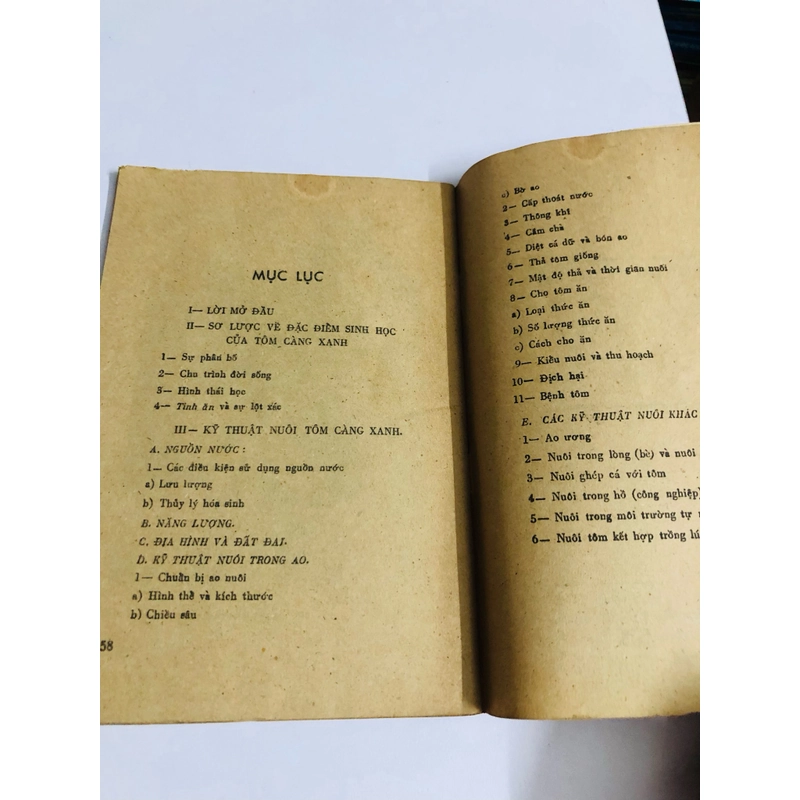 Kỹ thuật nuôi tôm càng xanh 528073