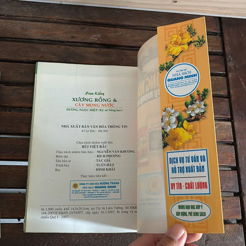 II Cây Cảnh: Xương Rồng Và Cây Mọng Nước (Sách Màu) - Dương Ngọc Hiệp 718583