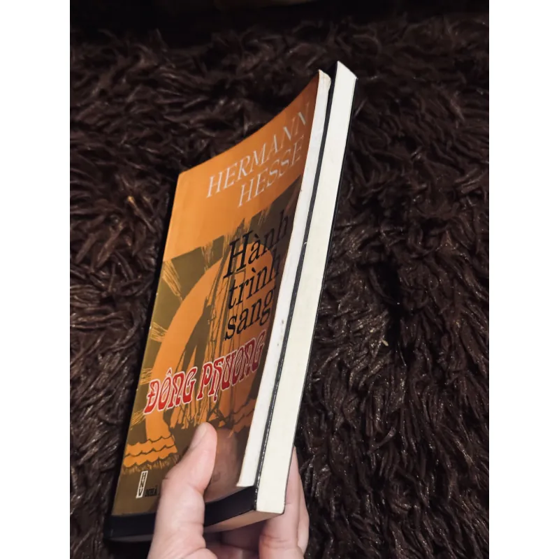 Combo Herman Hesse 996749