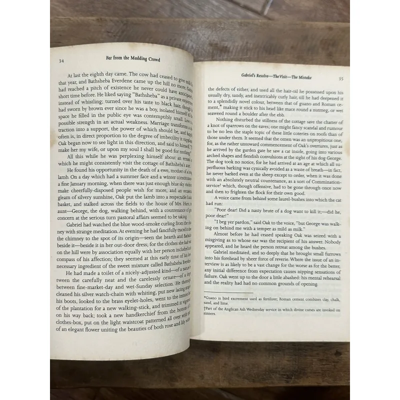 Far From the Madding Crowd  - Thomas Hardy 736178