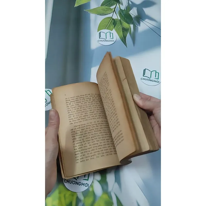 [XƯA] Tình Thù Đối Mặt (1990) - Nguyễn Thụy Long 776020