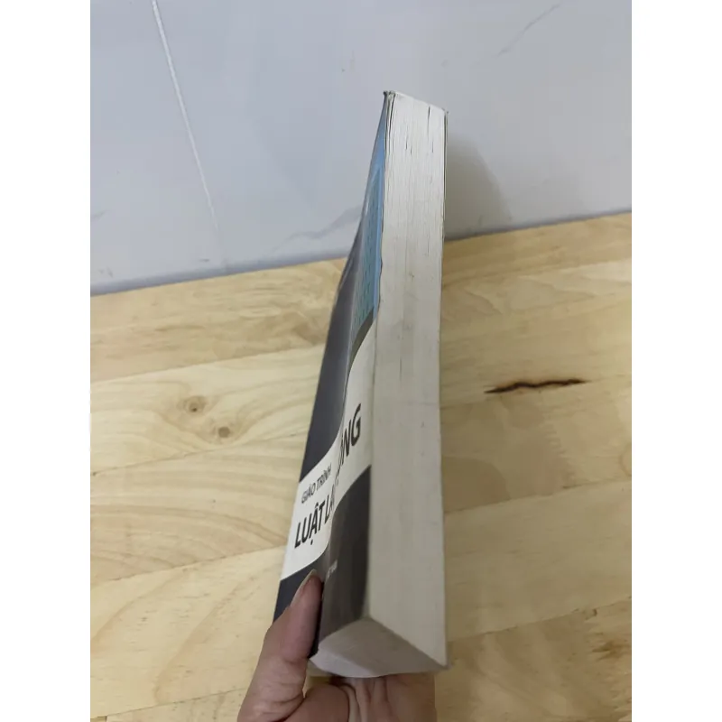 Giáo trình Luật Lao Động  753139