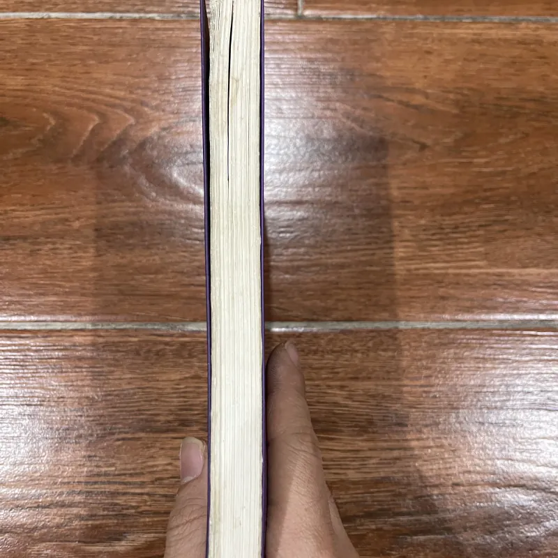 Charlie Bone tập 4 799557