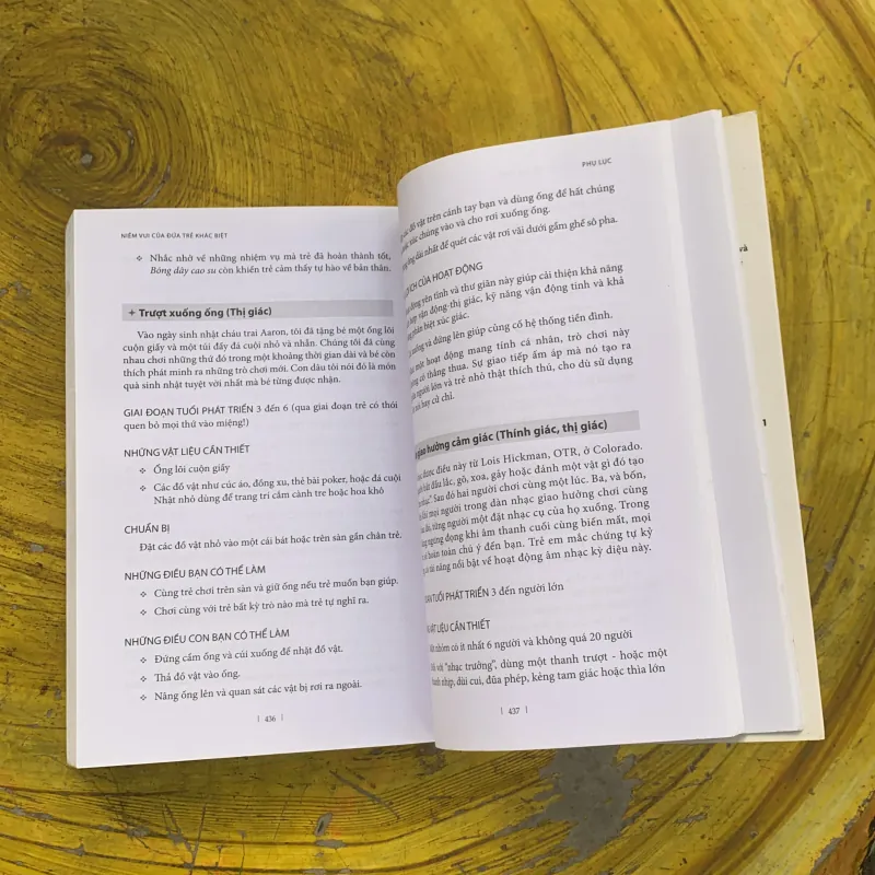 NIỀM VUI CỦA ĐỨA TRẺ KHÁC BIỆT - CAROL STOCK KRANOWITZ, M.A. 787947