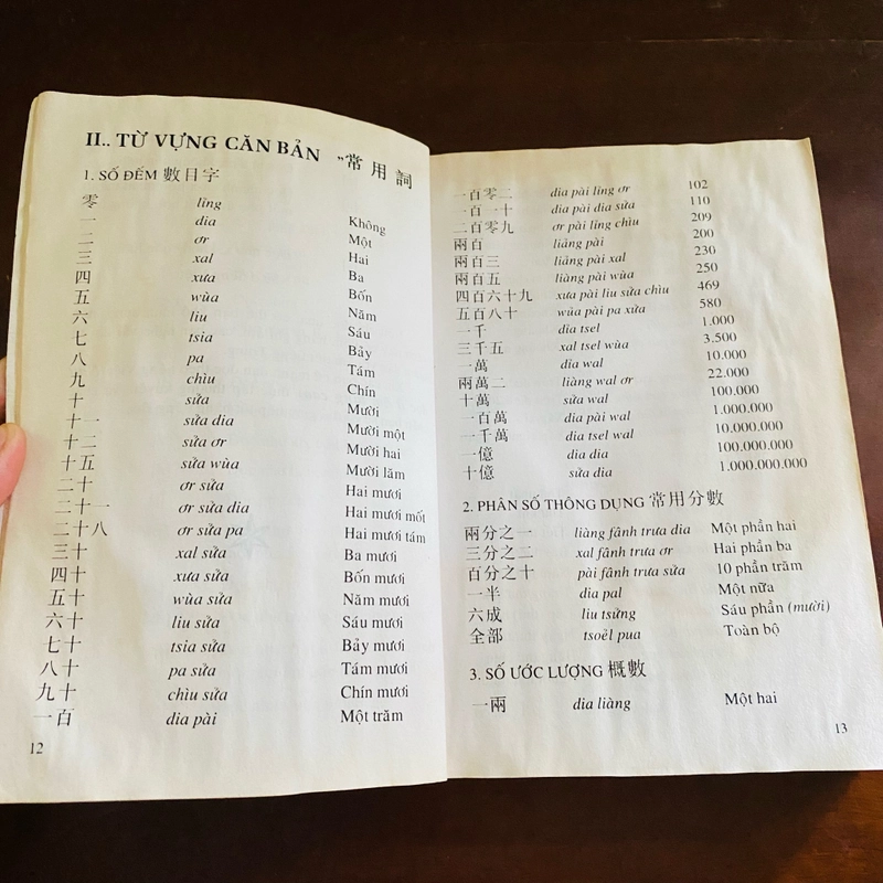 Tiếng Hoa cho người Việt  529441