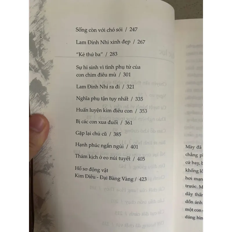 CHIM ƯNG TAO NGỘ  592088